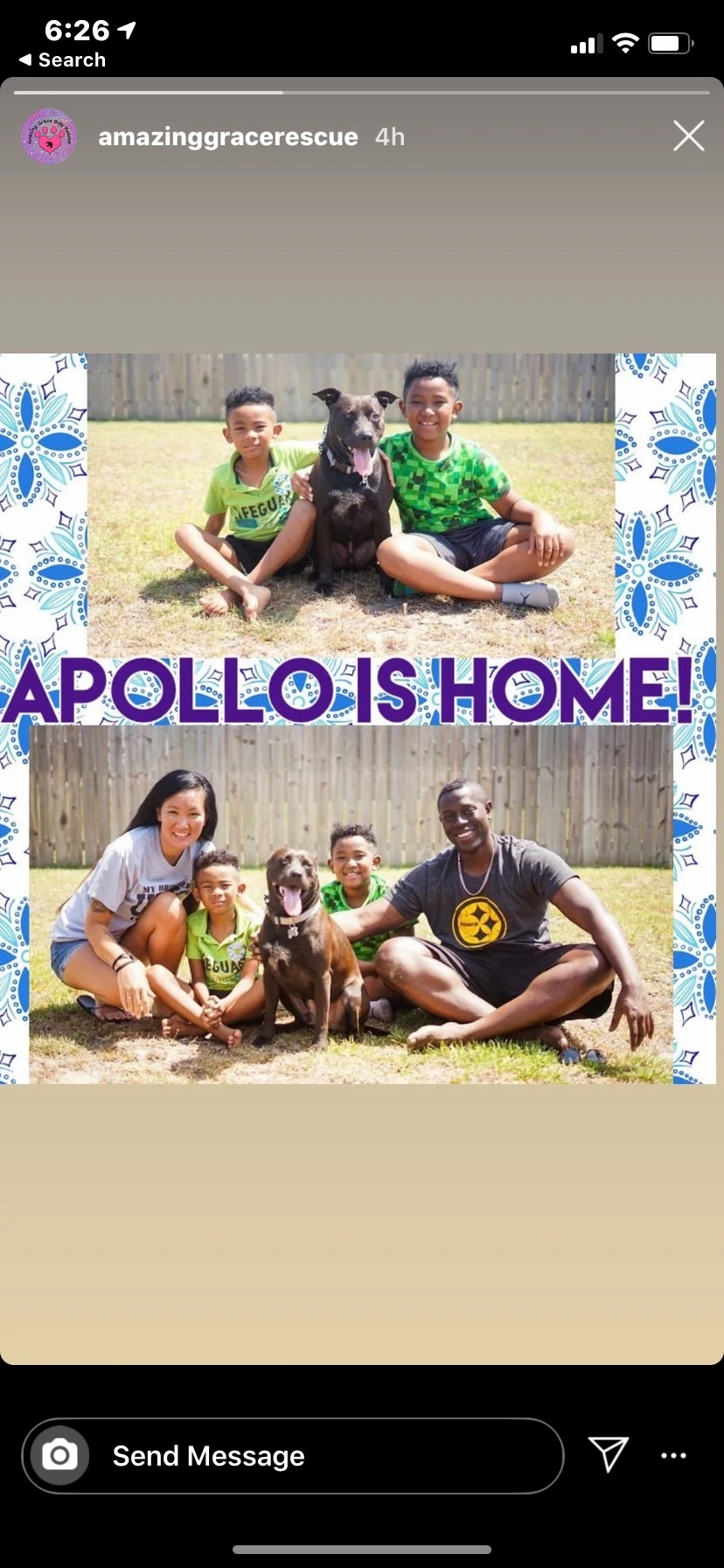 Apollo with his adoptive family in the rescue’s Apollo is home announcement